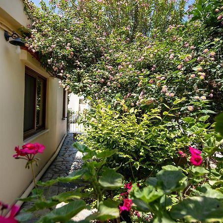 Villa Elisavet'S House Platanés Exterior foto