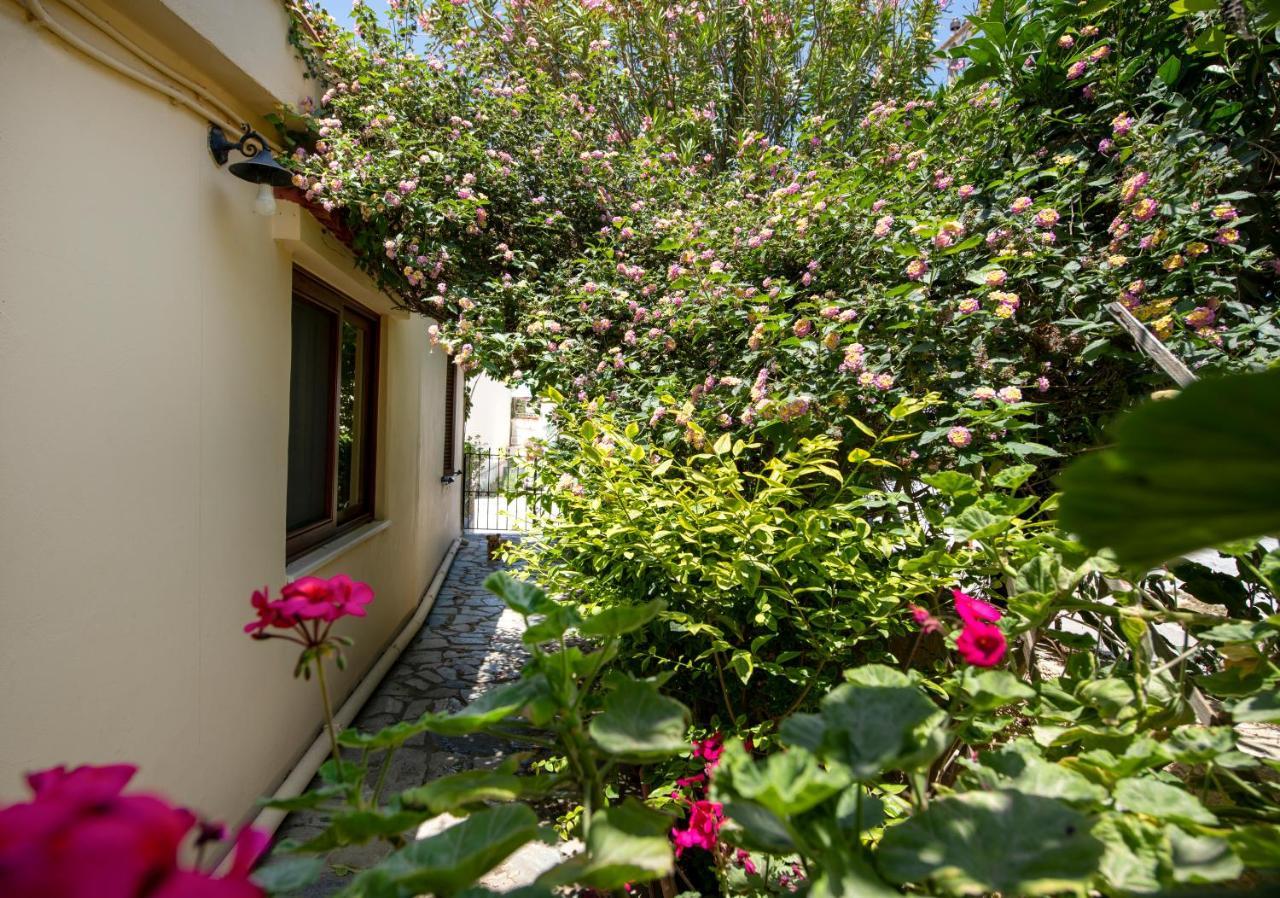 Villa Elisavet'S House Platanés Exterior foto